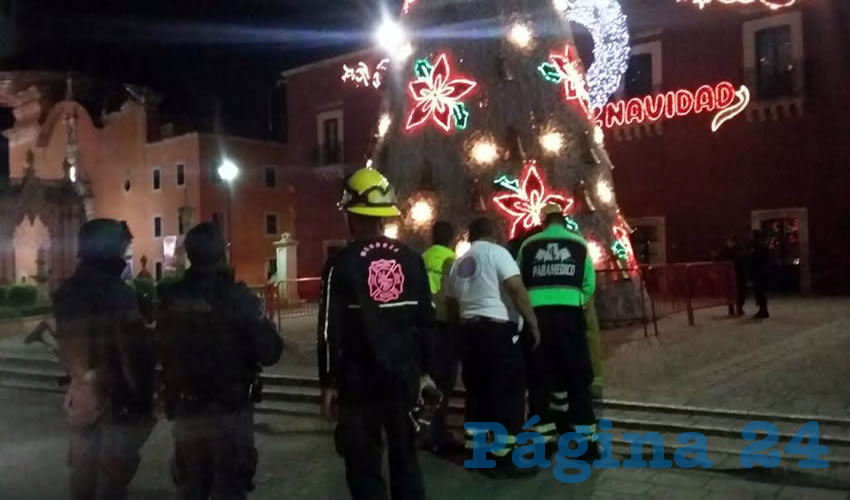 Bomberos acudieron a retirar el combustible con el que se roció al árbol navideño