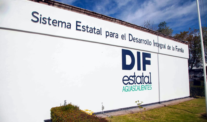 De los niños en custodia, 52 están en juicios de pérdida de patria potestad