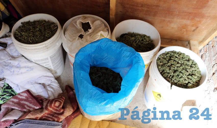Treinta kilos de mariguana encontraron las autoridades