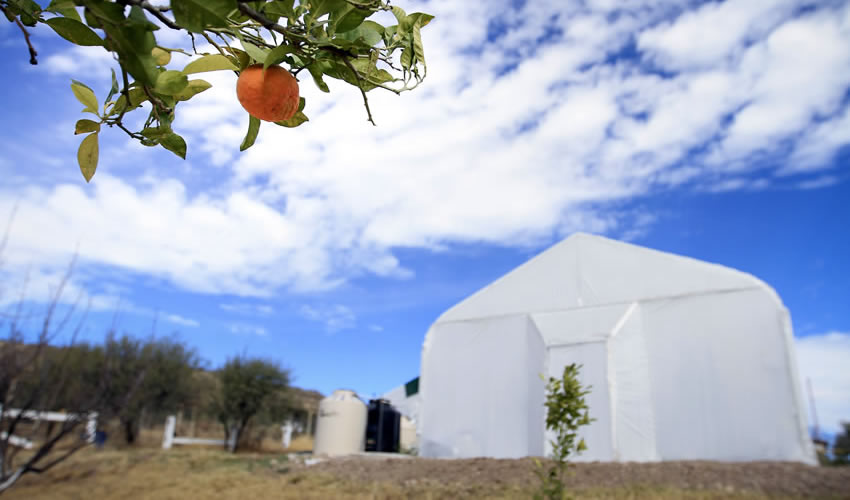 Los retos para los agricultores y el estado es generar pol&iacute;ticas p&uacute;blicas que sean centradas y adecuadas para cada sector de la agricultura