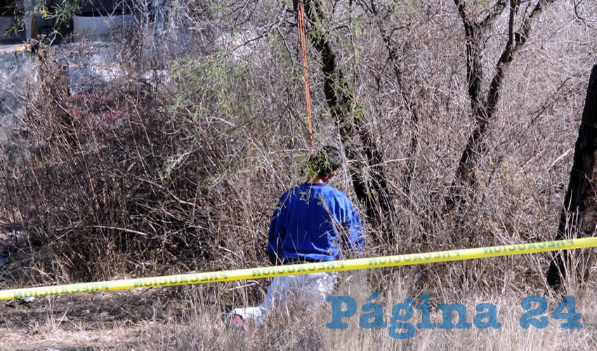 En un árbol de la comunidad Macario J. Gómez, se mató Vicente Montoya