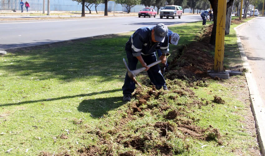 Se aprovechar&aacute; el agua de la presa del parque M&eacute;xico para regar por aspersi&oacute;n un tramo del camell&oacute;n central de la avenida Aguascalientes nororiente