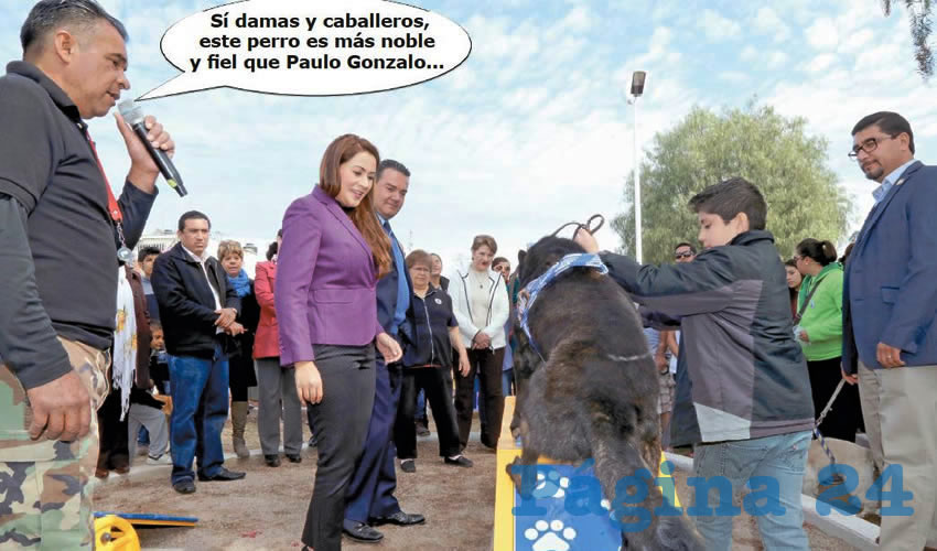 (Foto: Archivo/Pagina 24)