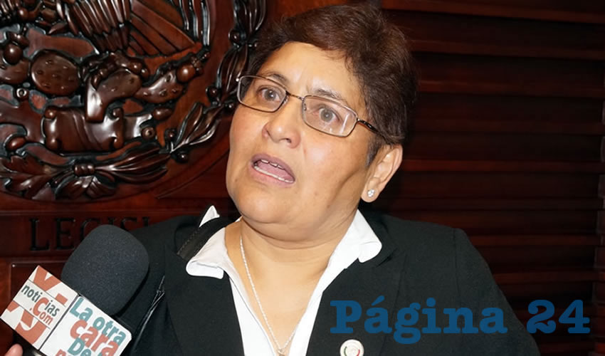 María Elena Ortega Cortés, diputada local por el PRD: “Es un avance que ya este el tema en la mesa de análisis” (Foto: Merari Martínez Castro)