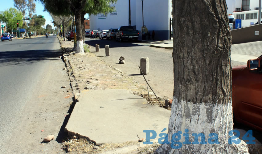 Manuel de Jesús Herrera Mayorga, vecino de la colonia Arboledas: El camellón ha sido violentado por vehículos y la DTTyV no ha hecho nada al respecto (Foto: Rocío Castro Alvarado)