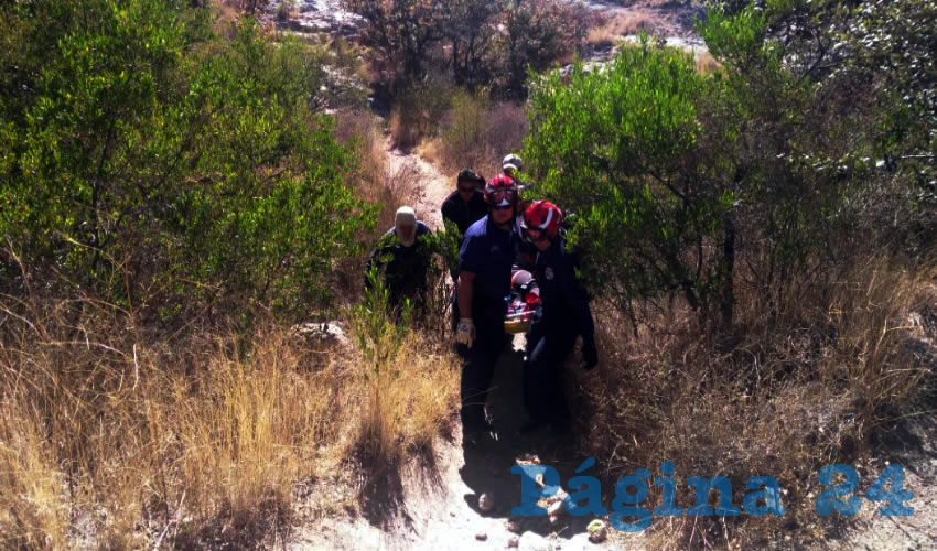 La muchacha, colocada en una camilla, fue bajada del cerro por varios bomberos