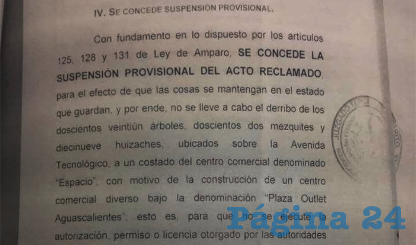 El documento ordena no derribar 221 &aacute;rboles