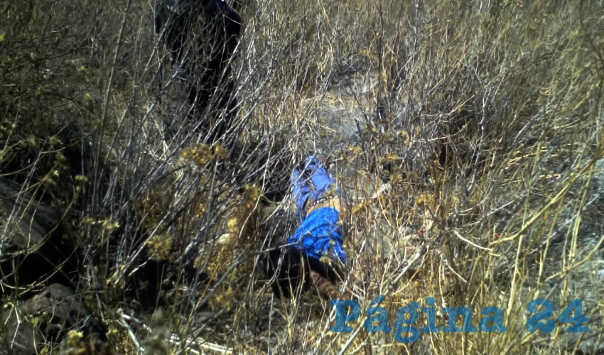 Entre la maleza fue encontrado el muerto