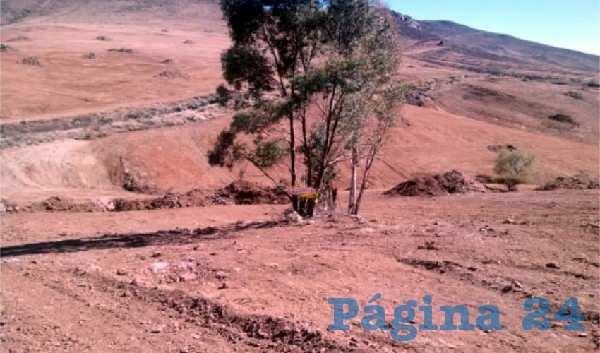 Responsable de la construcción carece de autorizaciones en materia de cambio de uso de suelo en terrenos forestales e impacto ambiental.
