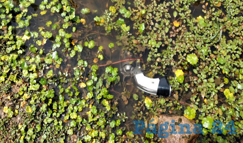 En un charco encontraron el rev&oacute;lver