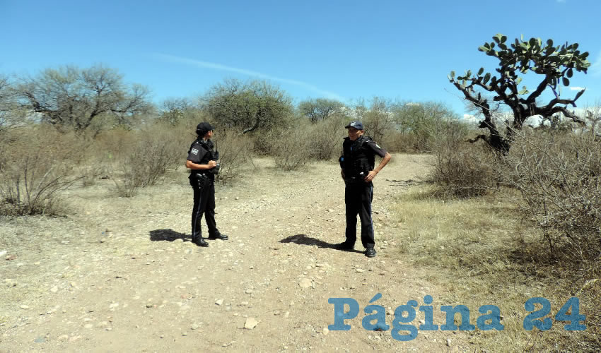 Policías preventivos resguardan la zona en donde decidió matarse Alicia Gaytán