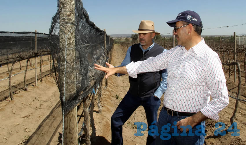 Las pol&iacute;ticas p&uacute;blicas en la materia est&aacute;n dirigidas al apoyo de los distintos sectores productivos