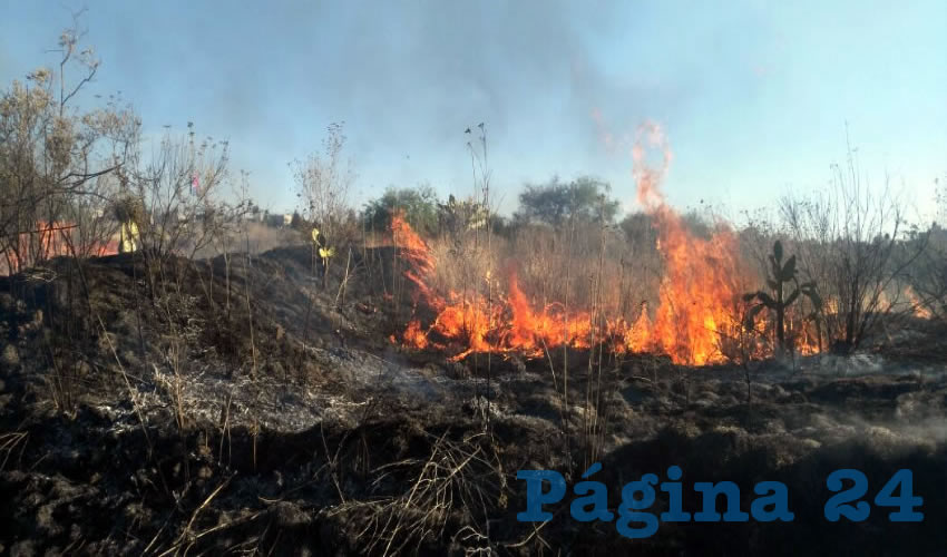 Aspecto del incendio que se originó a espaldas de Sensata Technologies