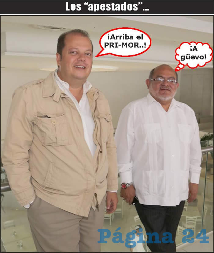 (Foto: Archivo/P&aacute;gina 24)