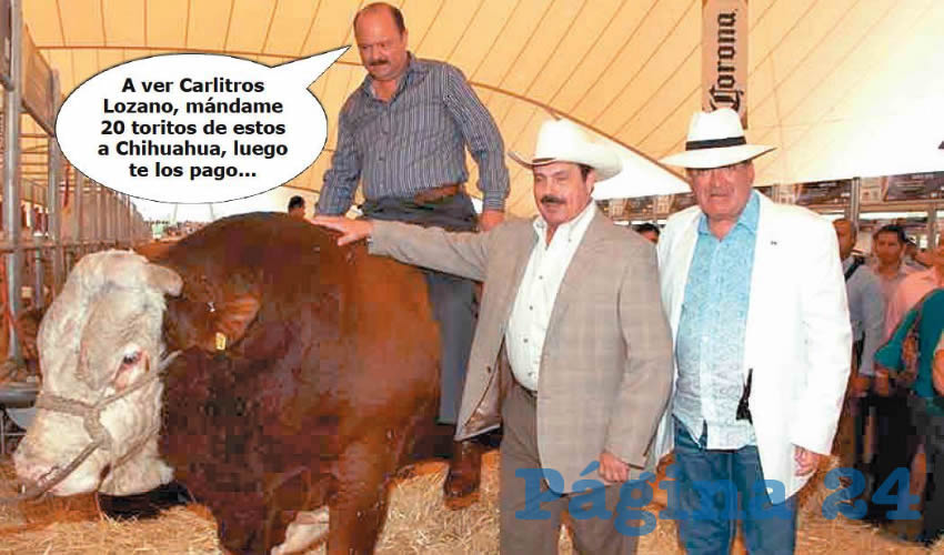 (Foto: Archivo/Pagina 24)