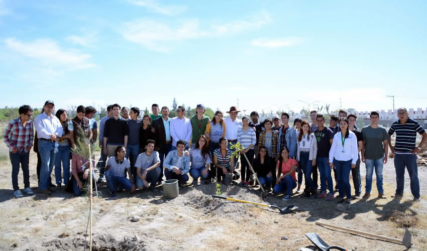 Con la implementación del programa “Adopta un árbol” se ha incrementado más de 700 por ciento el total de árboles del campus universitario