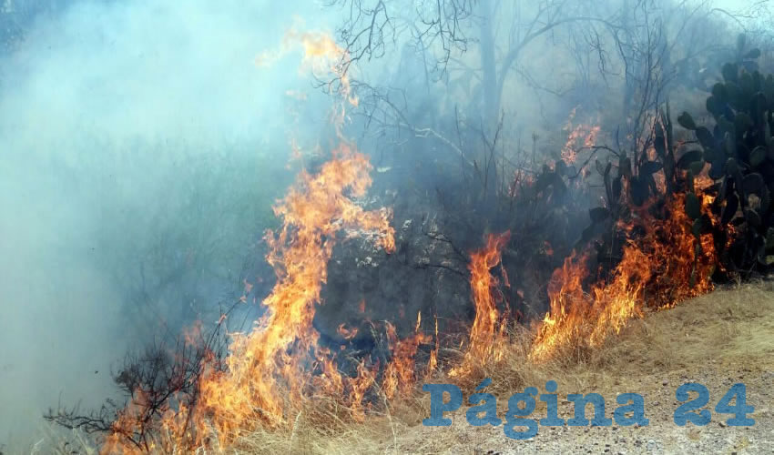 El fuego hace sus estragos en la zona rural