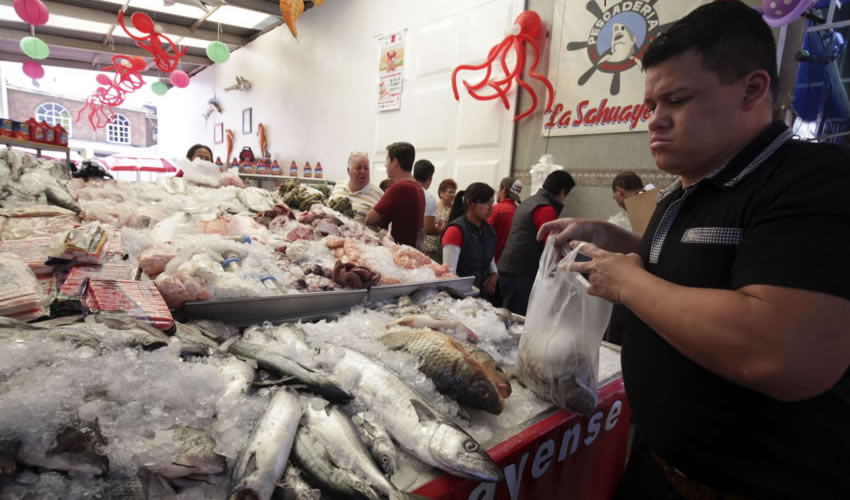 México la oferta de cada temporada, además de ser amplia y variada, incluye especies económicas