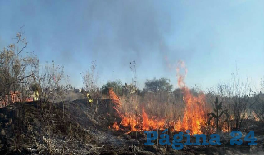 Uno de los incendios más sobresalientes que se ha presentado en las últimas semanas es el ocurrido en un predio aledaño a la empresa Sensata