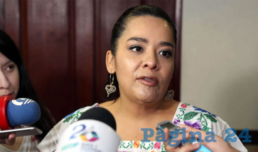 Elsa Amabel Landín Olivares, diputada local (Foto: Eddylberto Luévano Santillán)