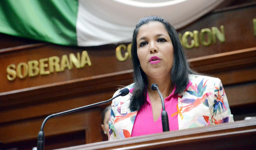 Norma Zamora, diputada local