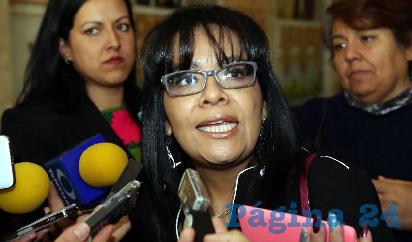 Elsa Amabel Landín Olivares, legisladora local