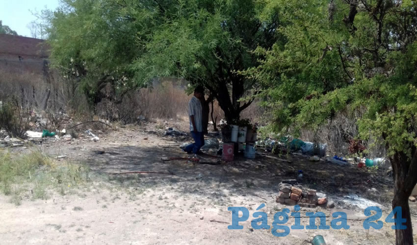 En esta árbol se ahorcó Daniel Cruz Collazo