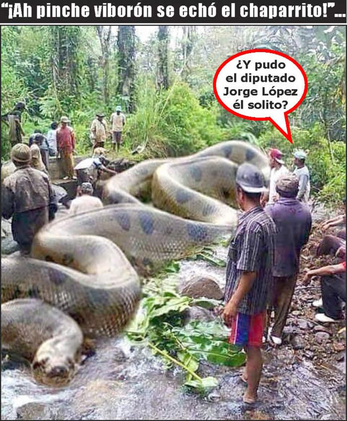 (Foto: Archivo/P&aacute;gina 24)