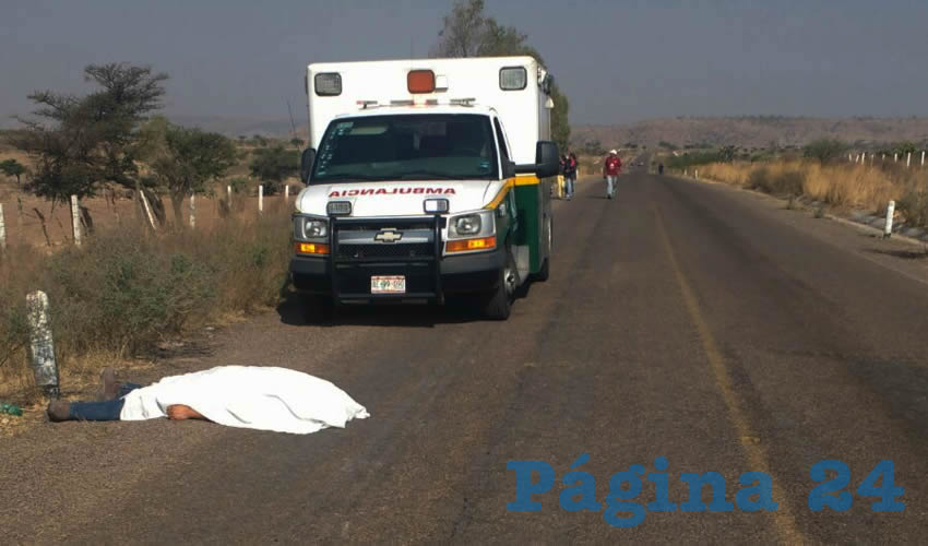 El fatal percance ocurrió en la carretera estatal 119