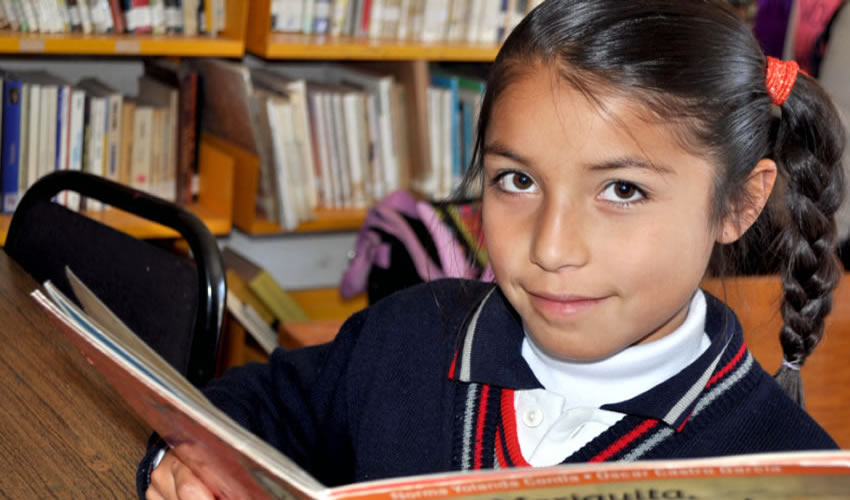 A través del programa “Jueves de Bibliotecas” se conocen y resuelven las necesidades de estos 16 espacios públicos del Municipio Capital