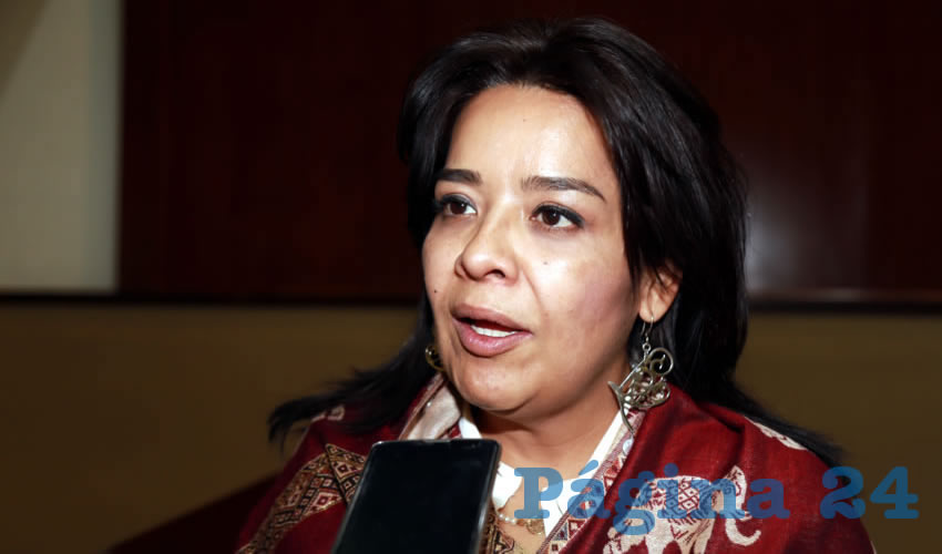 Elsa Amabel Land&iacute;n Olivares, legisladora local (Foto: Eddylberto Lu&eacute;vano Santill&aacute;n)