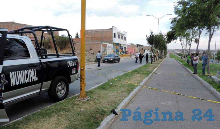 En la huida de los atacantes, en la L&iacute;nea Verde tiraron una funda para pistola