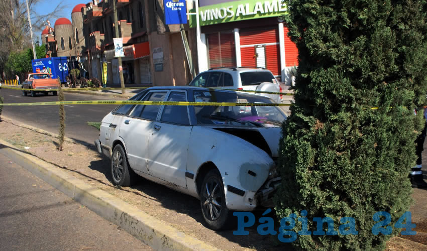 La guayín terminó estrellada contra un pino