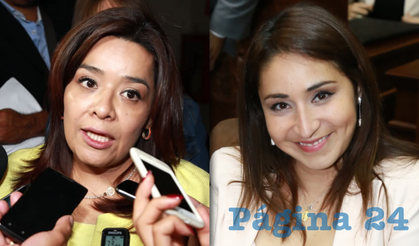 Elsa Amabel Landín Olivares, legisladora local | Paloma Cecilia Amézquita Carreón, diputada local