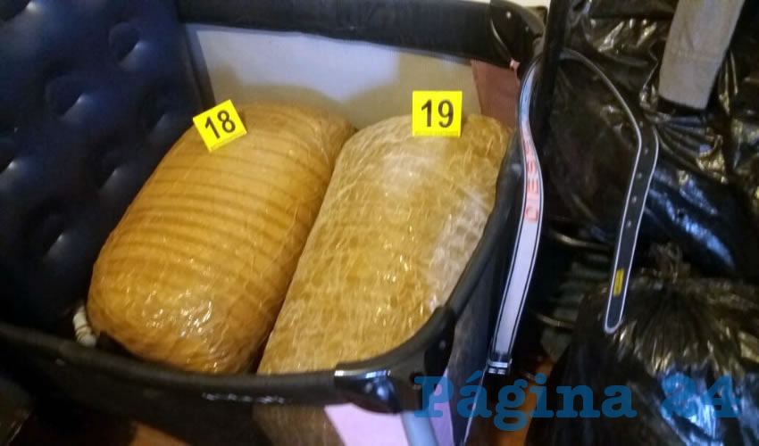 Parte de los 50 kilos de mariguana que encontraron las autoridades en la casa del ruletero Enrique “N” “N”