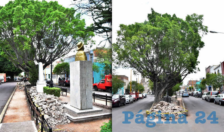 Se realizar&aacute;n labores para mejorar la iluminaci&oacute;n, vegetaci&oacute;n, rehabilitaci&oacute;n de banqueta, bancas, nomenclatura y otros elementos ornamentales