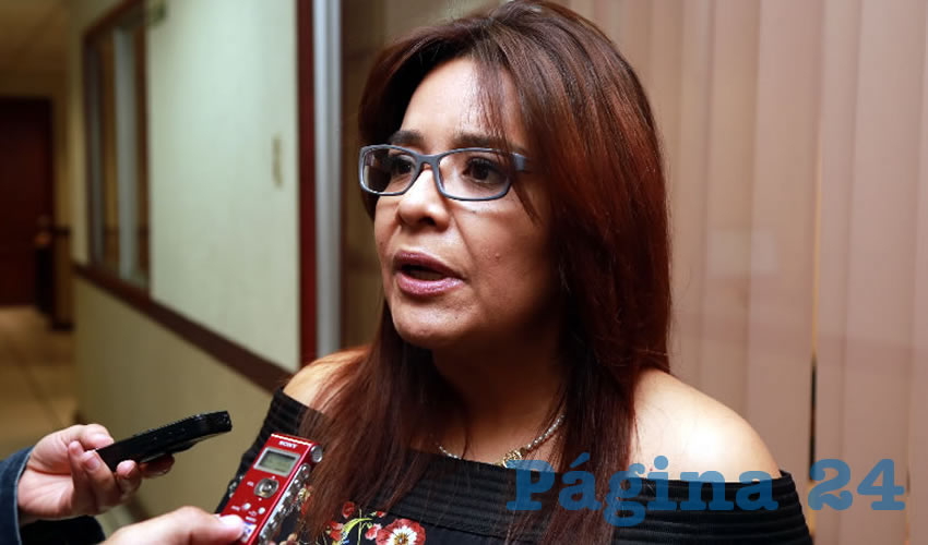 Elsa Amabel Landín Olivares, diputada local