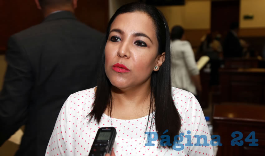 Norma Isabel Zamora Rodr&iacute;guez, legisladora local (Foto: Eddylberto Lu&eacute;vano Santill&aacute;n)