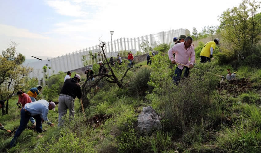 Terrazas individuales y un cord&oacute;n de piedra acomodada se colocaron en una extensi&oacute;n de dos hect&aacute;reas del lugar