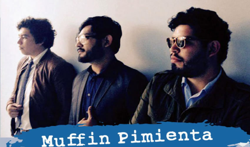Para este proyecto, fueron seleccionadas las bandas Doberman, Hombre Árbol, Jade, Yeguas de Tracia y Muffin Pimienta, entre otras.