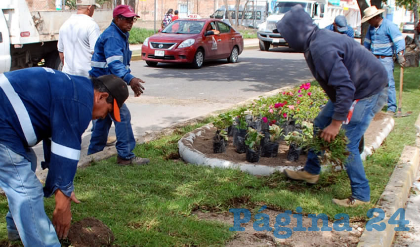 Gracias al programa Adopta un Camell&oacute;n, se canalizan recursos municipales para &aacute;reas verdes en otros puntos de la ciudad