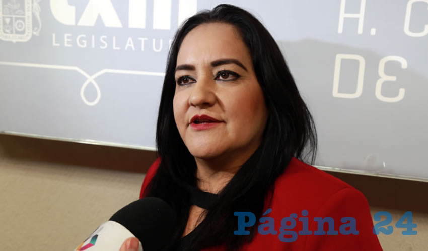 Nidia Acosta Lozano, legisladora local (Foto: Eddylberto Lu&eacute;vano Santill&aacute;n)