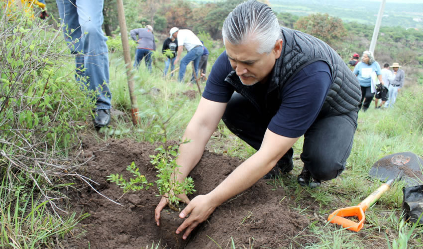 Se colocaron 140 terrazas individuales y un cordón de piedra acomodada se colocaron en una extensión de 2 hectáreas del lugar