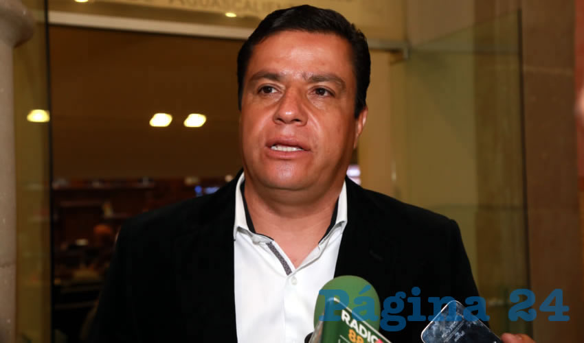 Arturo Fernández Estrada, legislador local