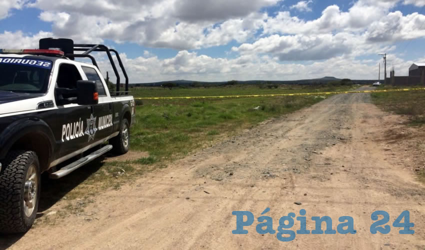 Los policías no hacen otra cosa que levantar cadáveres en todo el estado; su capacidad no les da para más