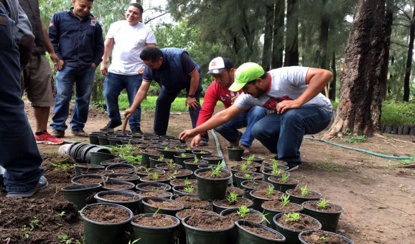 Participó personal de las escuelas Normal Superior Federal, Escuela Normal Rural Justo Sierra, Escuela Normal de Aguascalientes y Escuela Pedagógica Nacional