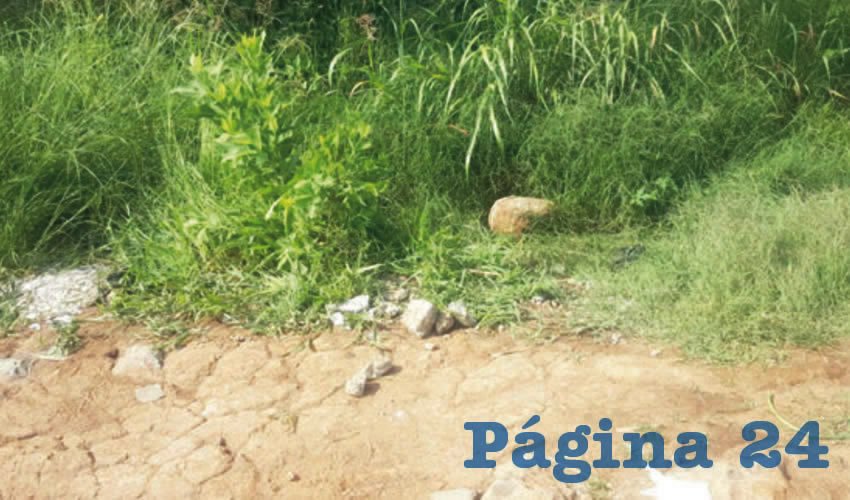 Un campesino encontró el cadáver desnudo de una mujer; a simple vista pudo apreciar que tenía las manos atadas/Foto: Especial