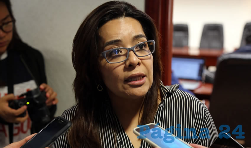 Elsa Amabel Landín Olivares, diputada local