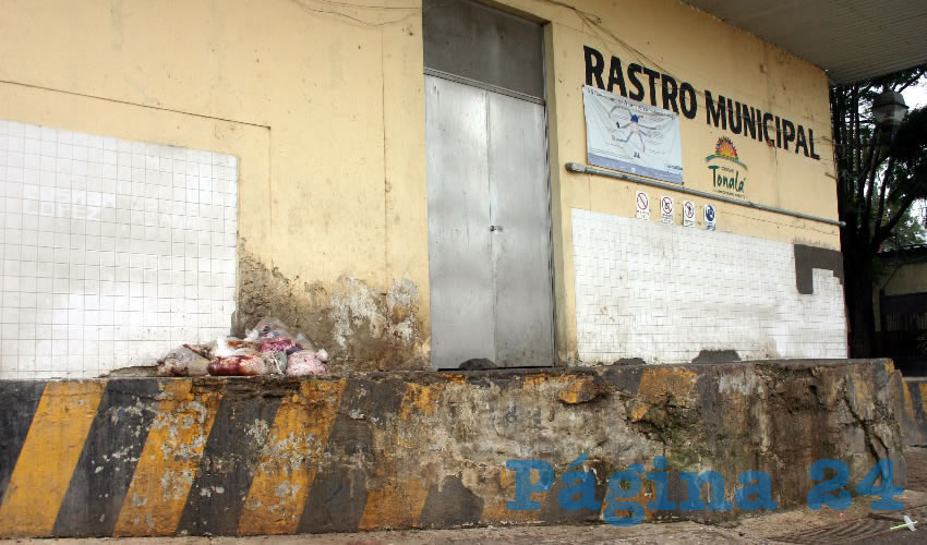 Eduardo Delgado Cisneros, administrador del rastro municipal de Tonalá, refirió que se han sobre poblado los alrededores del centro de matanza y esto sí causa molestias entre la ciudadanía/Fotos: Francisco Tapia