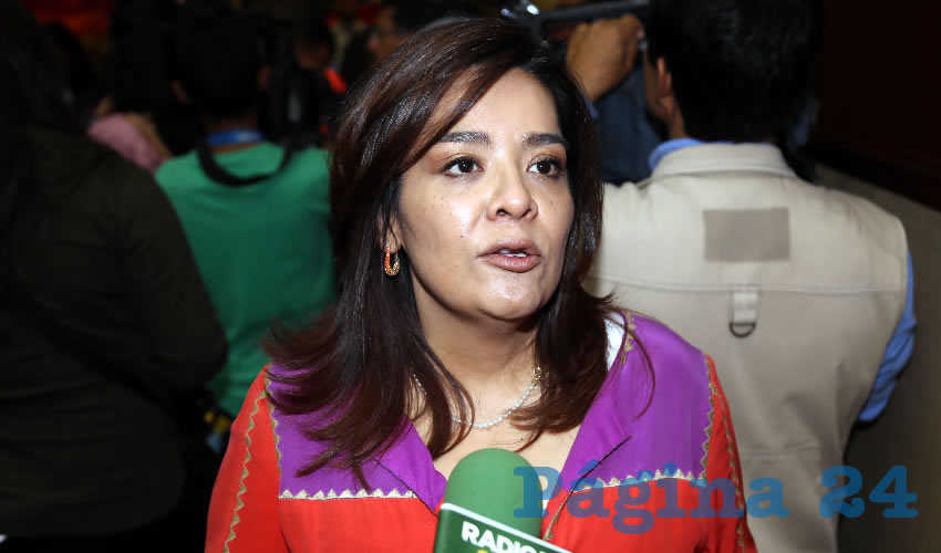 Elsa Amabel Land&iacute;n Olivares, legisladora local